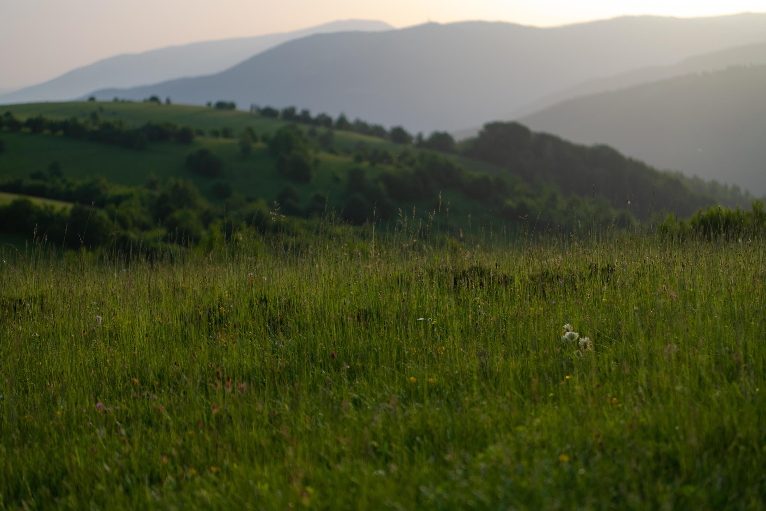 landscape nature summer Stock Free