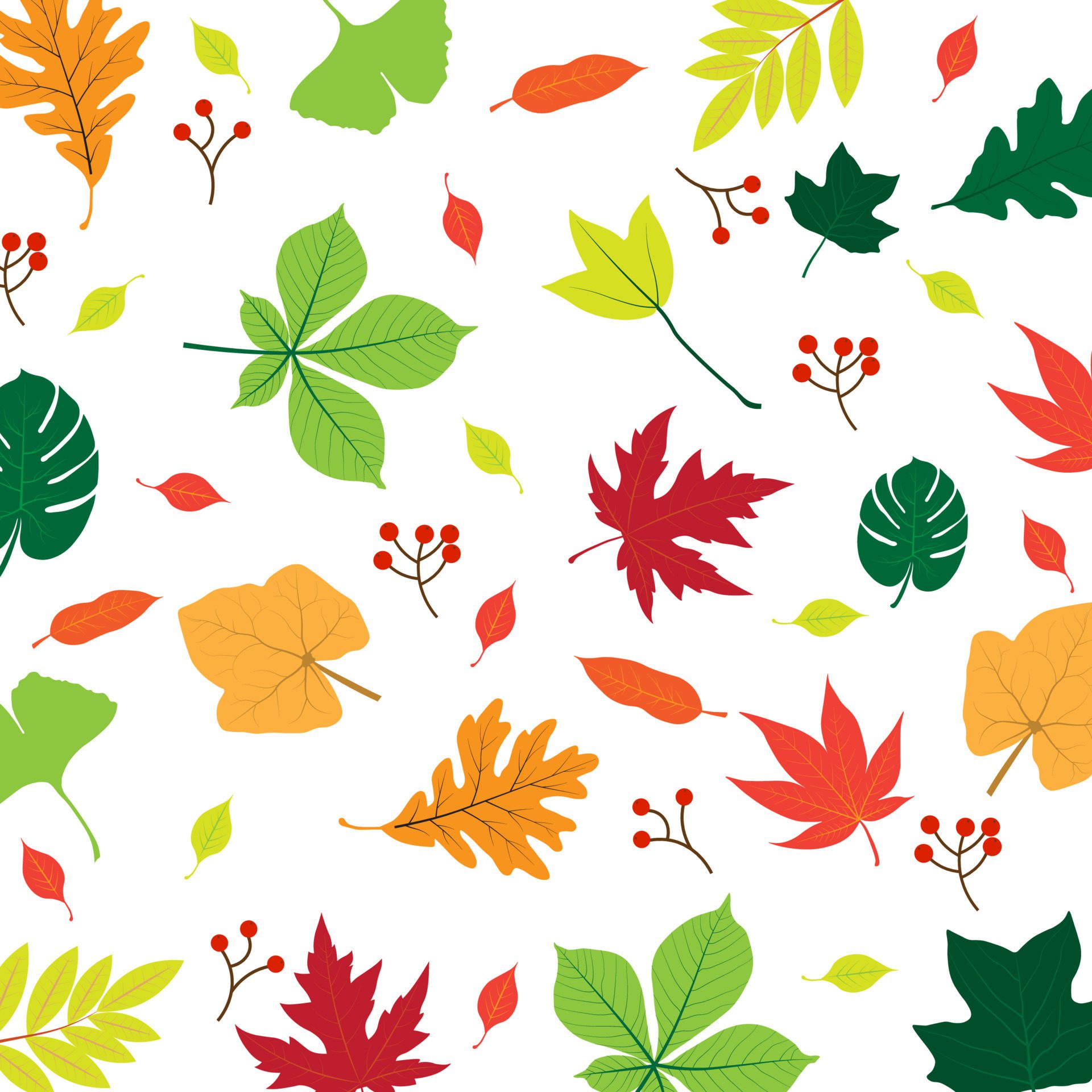 Leaf Stock Vector Illustration. Leaves Pattern on White Background. Free Vector