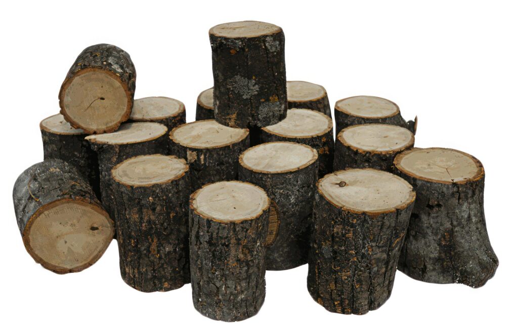 Pine Tree wood stumps on ground after being cut with real wood texture background. Stock Free