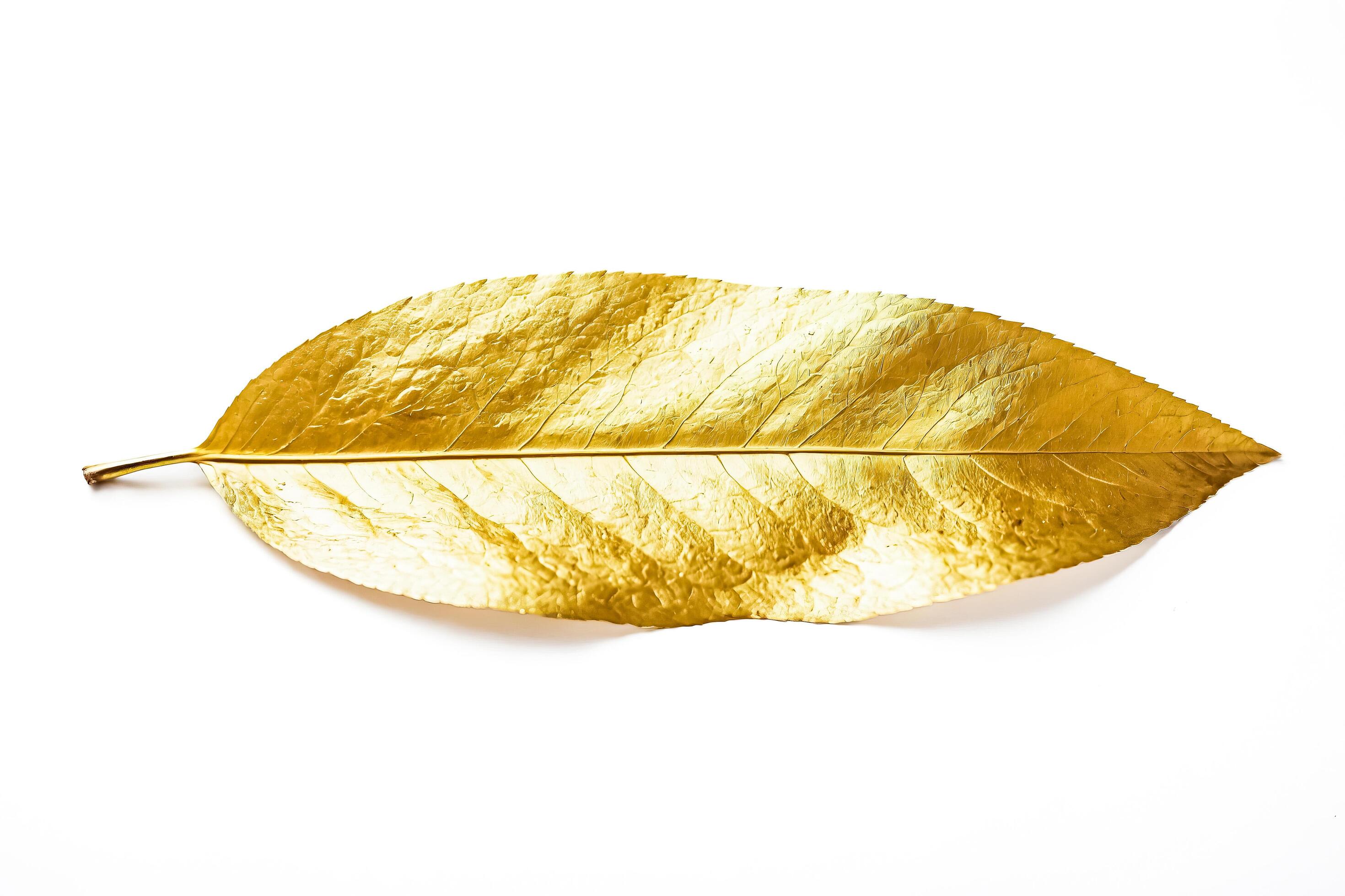 Golden Leaf on White Background Stock Free