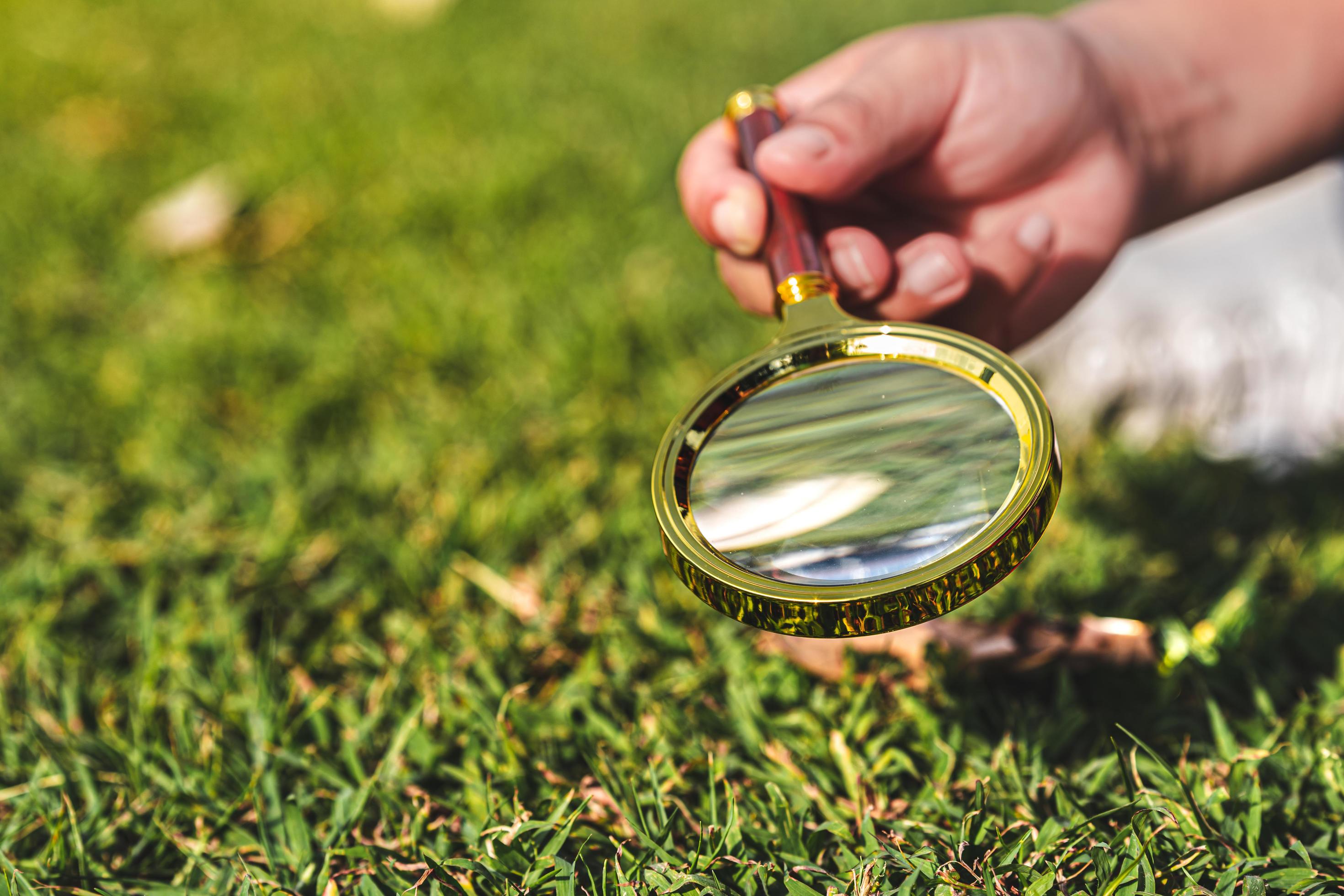 Science experiment concept. Combining sun’s rays through magnifying glass to learn about heat and energy sun. Stock Free