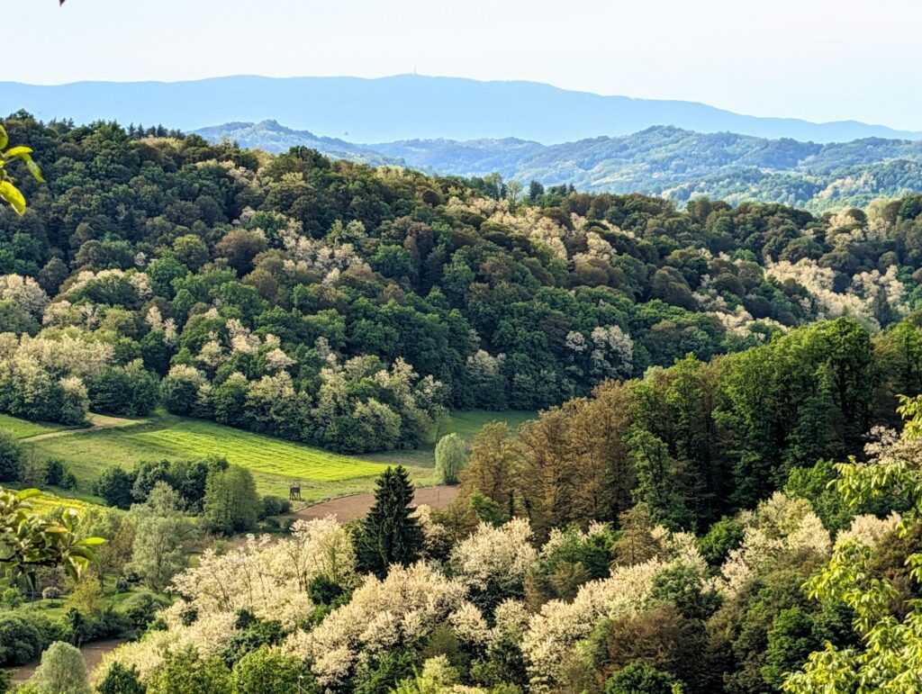 Beautiful landscape scenery, forest and nature background, green hillside at Klenice, Croatia, Hrvatsko Zagorje Stock Free