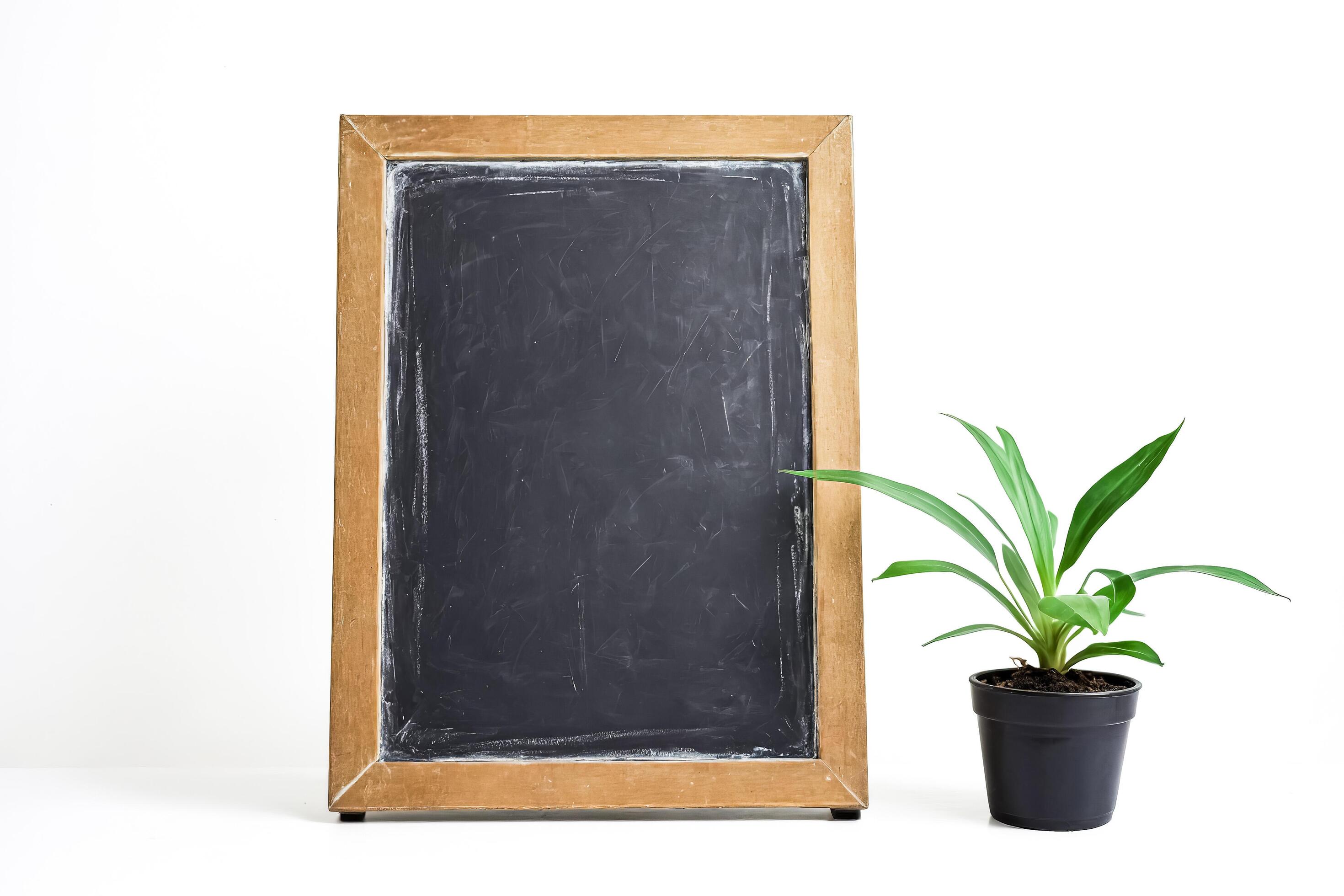 Blank chalkboard with wooden frame and potted plant on white background Stock Free