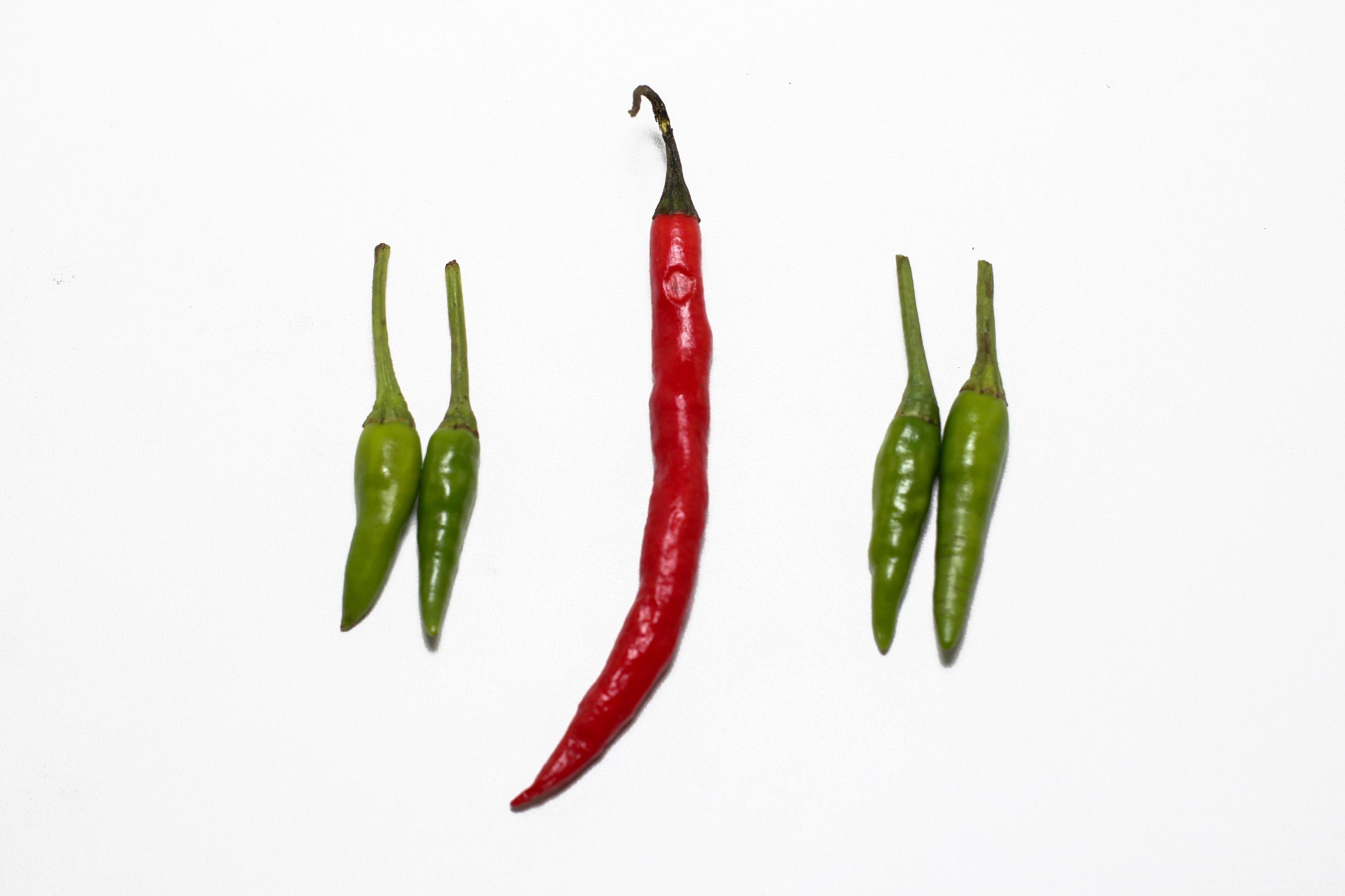 Red and Green hot Cayenne pepper Minimal food concept Stock Free