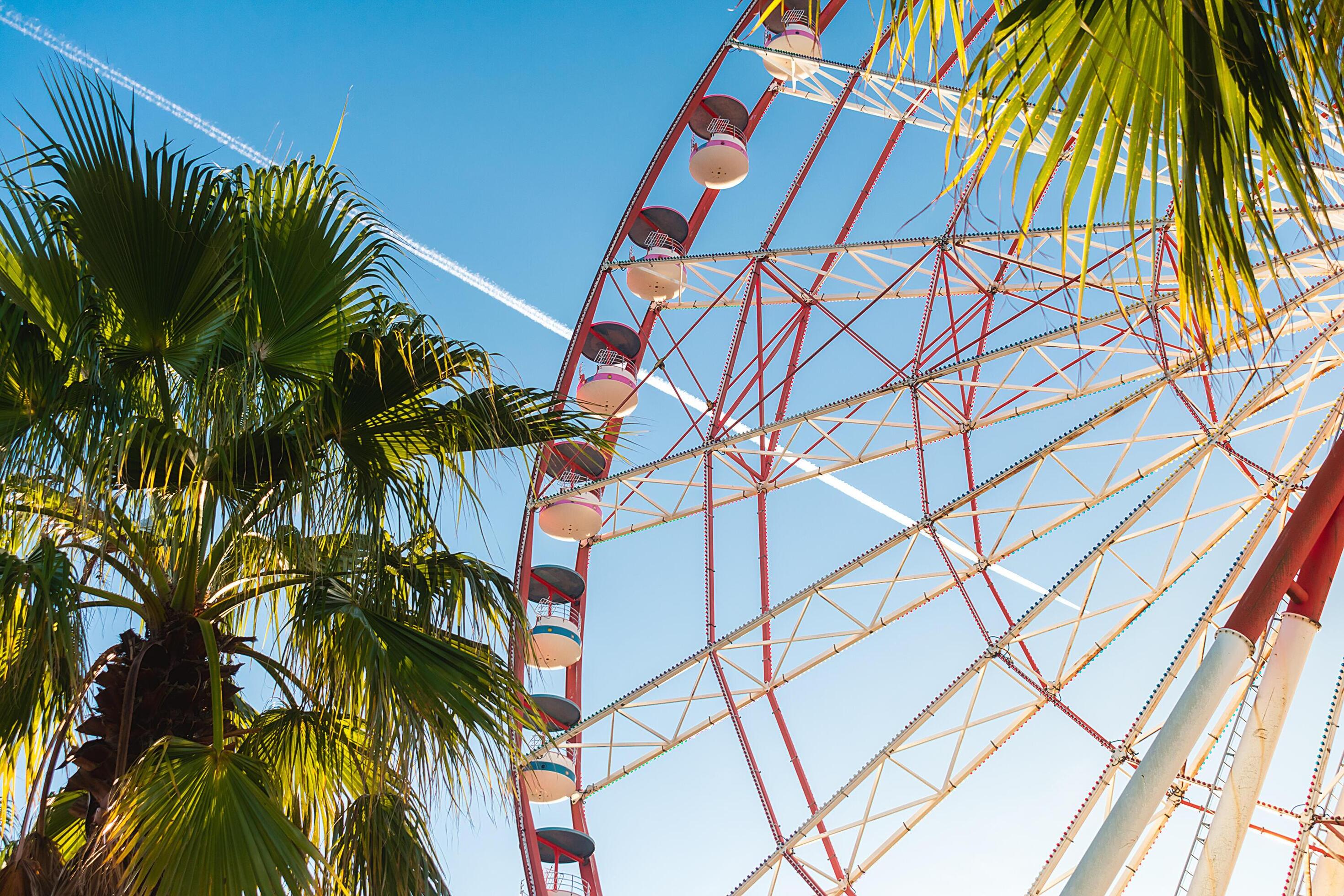 View of the Ferris wheel attraction against a background of blue sky between palm trees. Ferris wheel in the Georgian city of Batumi. Stock Free