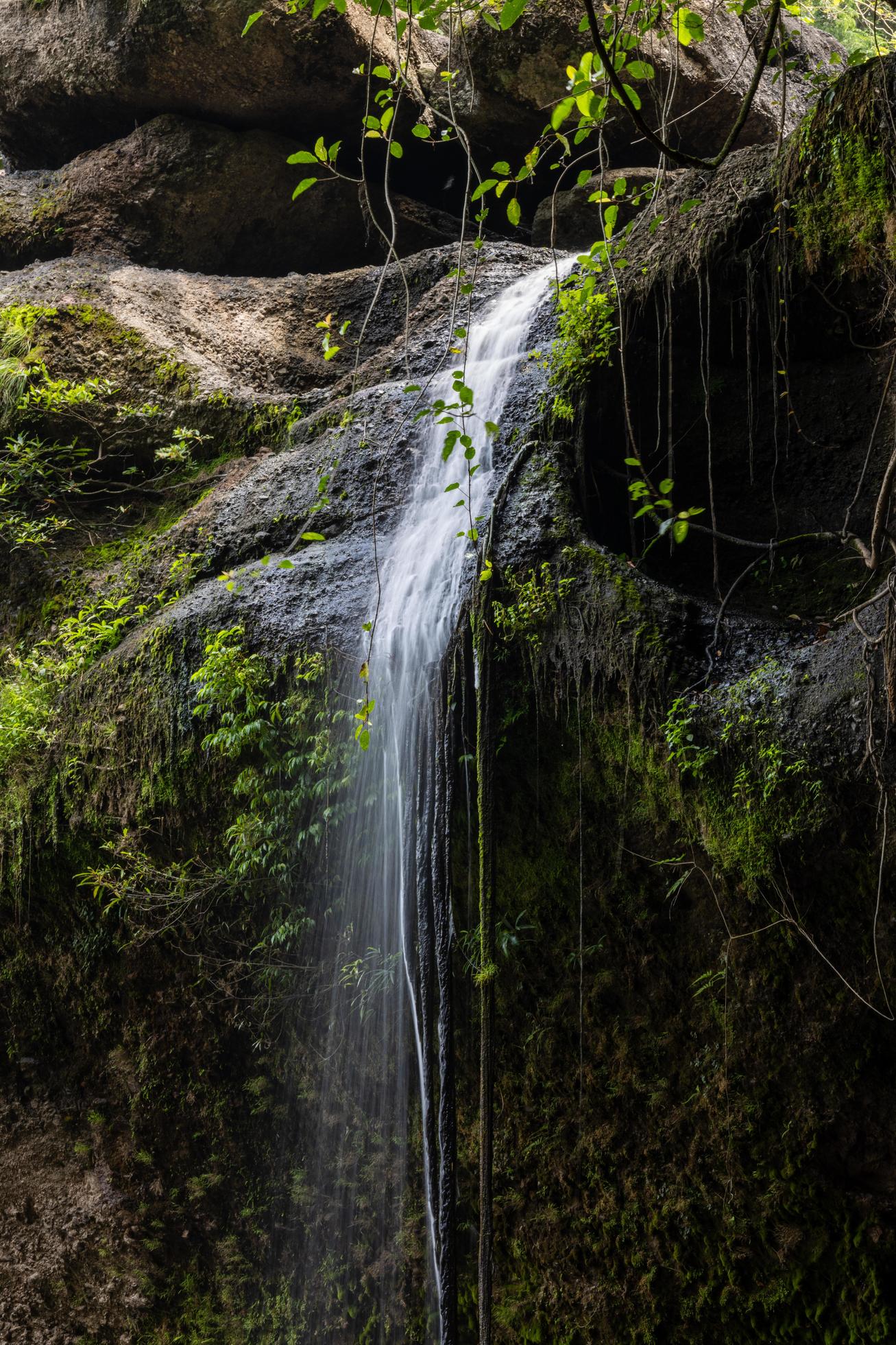 A natural waterfall in a big forest in the midst of beautiful nature. Stock Free