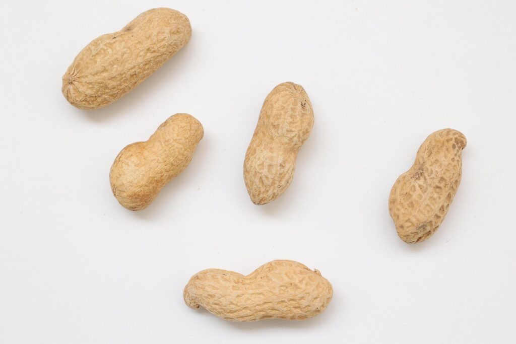 Peanut on white background Stock Free