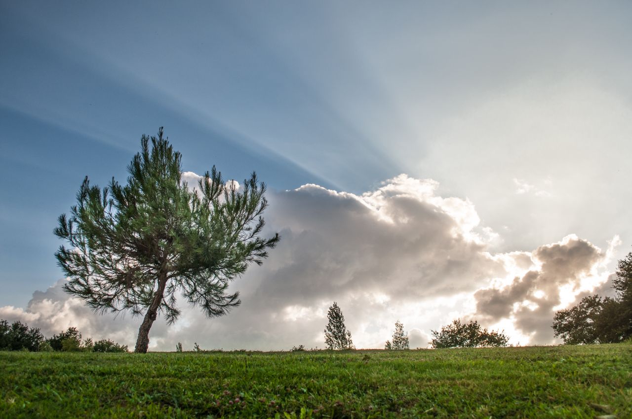 Clouds and sunrays Stock Free