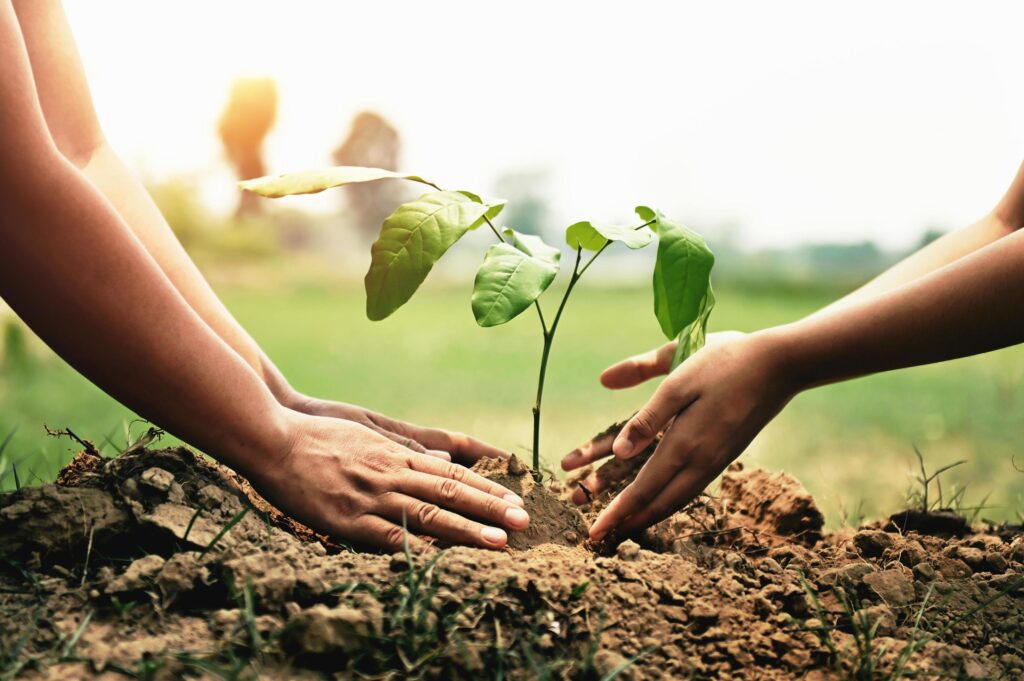 mother with children helping planting tree in nature for save earth. environment eco concept Stock Free