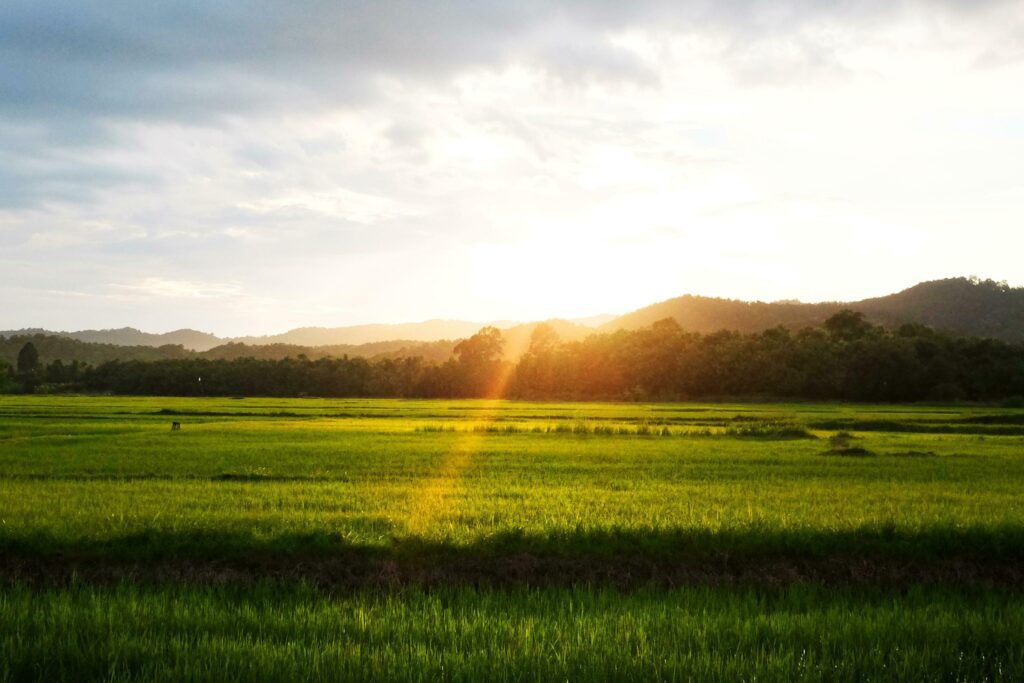 Beautuful landscape greenery of farmland with natural sunshine near valley mountain and destination of sunset in Thailand Stock Free