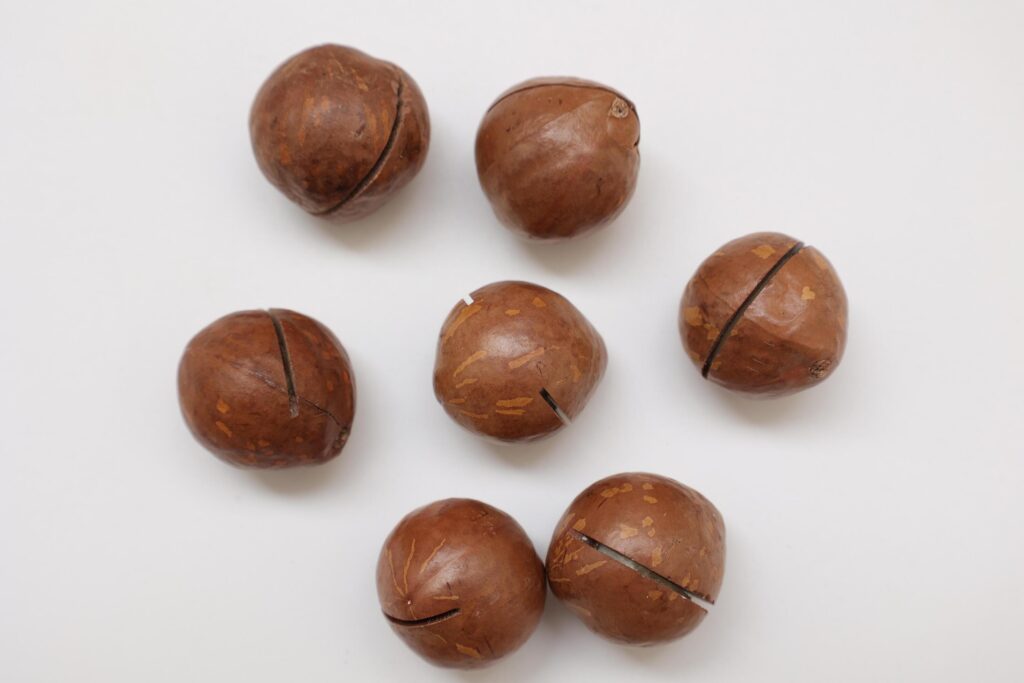 Macadamia nuts seeds background Stock Free