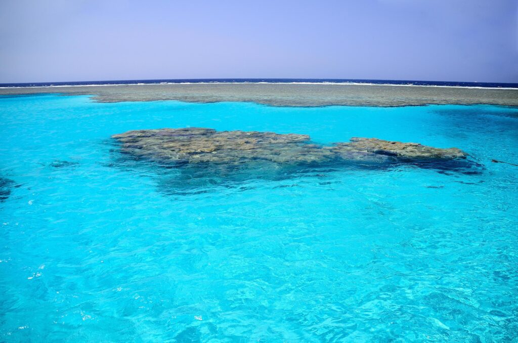 coral reef in the nature reserve Stock Free