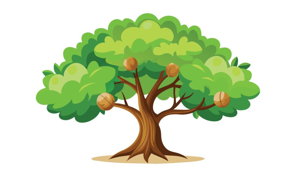 Walnut tree isolated flat illustration on white background Free Vector