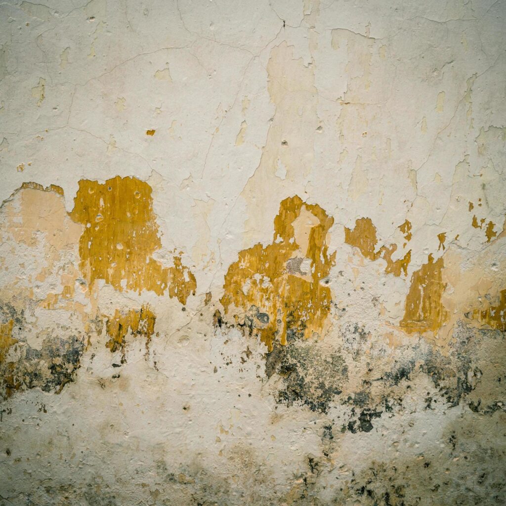 grunge cement crack wall background and texture Stock Free