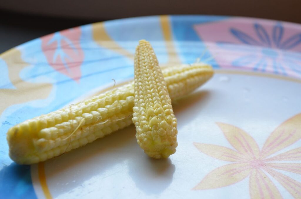 Baby Corn Two Plate Stock Free