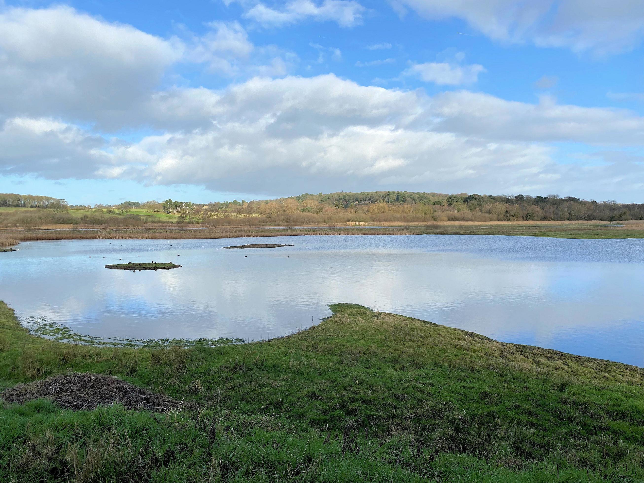 A view of Burton Mere Wetlands Nature Reserve Stock Free