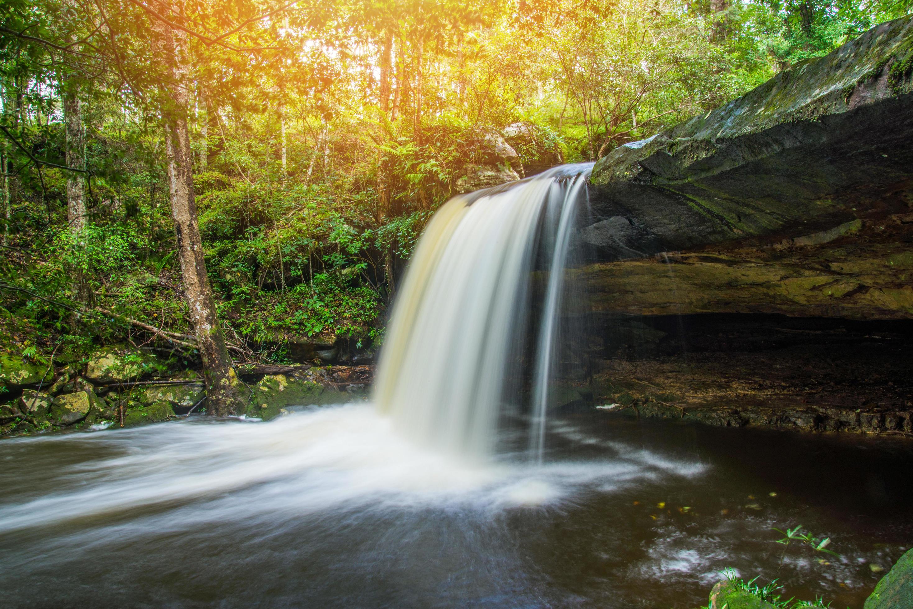 Waterfall river stream green tropical forest nature plant tree jungle Stock Free