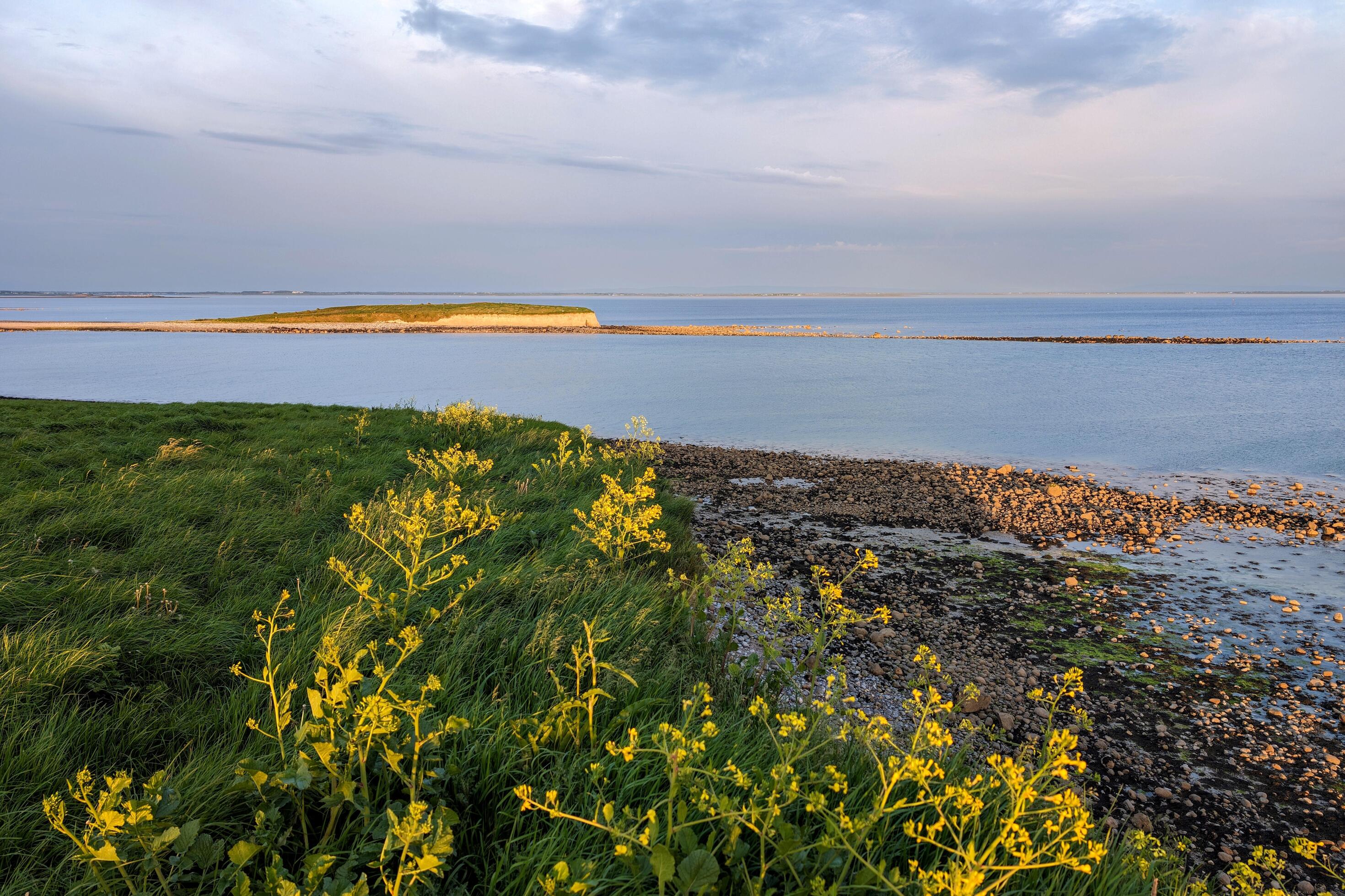 Beautiful coastal sunset landscape scenery of wild Atlantic way at Silverstrand beach, Galway, Ireland, nature background, wallpaper Stock Free