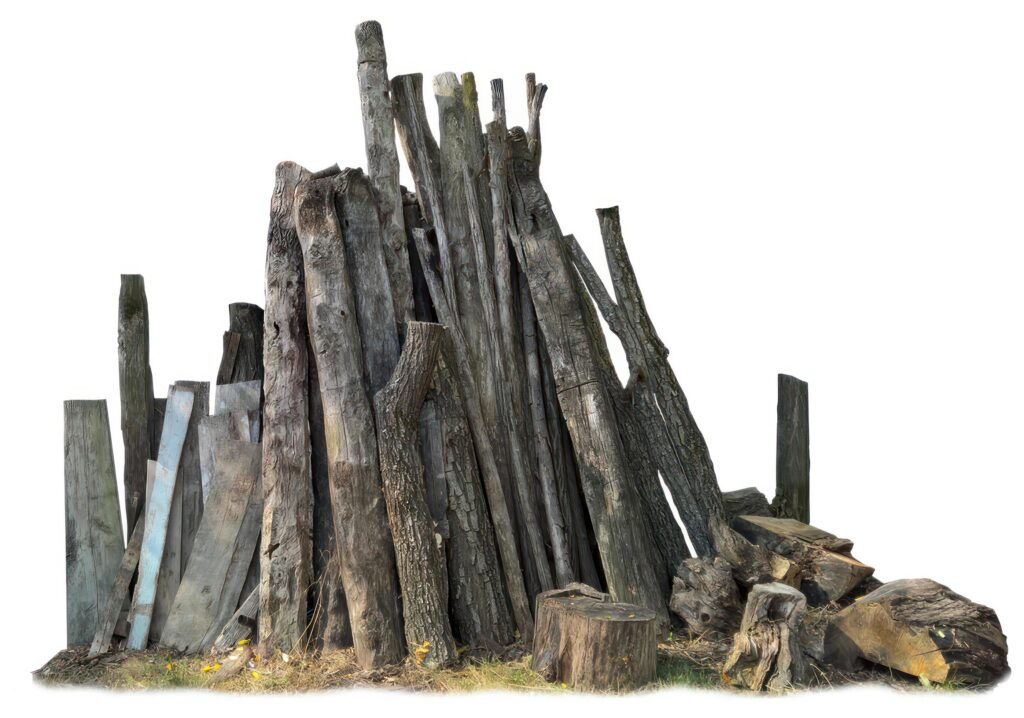 Pine Tree wood stumps on ground after being cut with real wood texture background. Stock Free