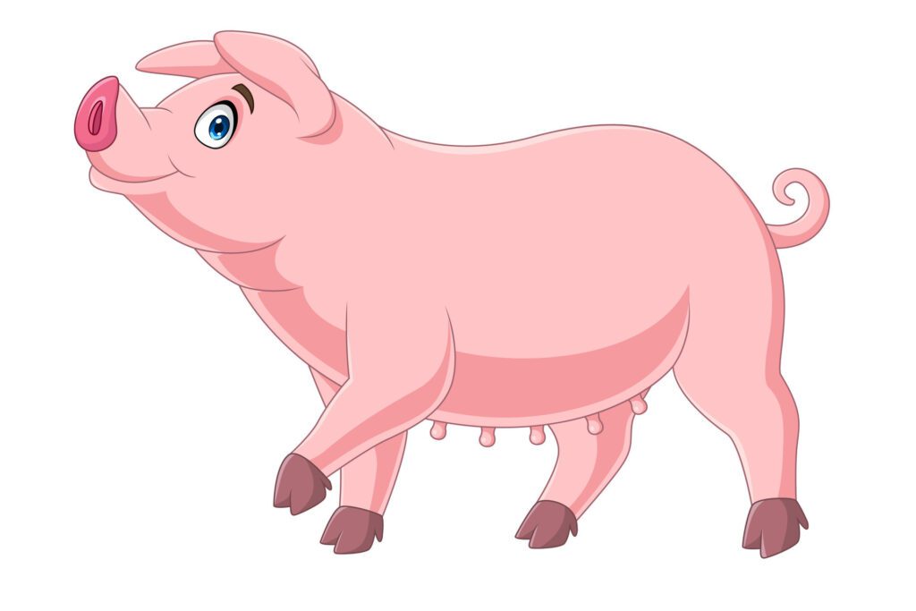 Cartoon funny pig on white background Free Vector