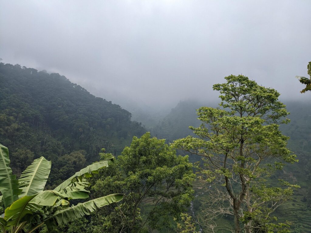 Landscape photo of mountain with fogging forest and cloudy sky. The photo is suitable to use for climate changes poster and nature background. Stock Free