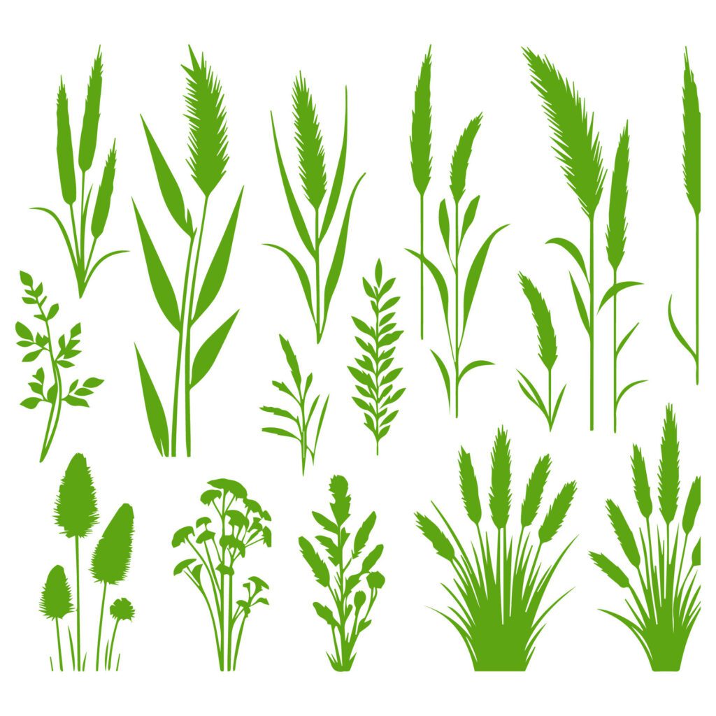 Vector green grass natural, organic, bio, eco label and shape on white background. Free Vector