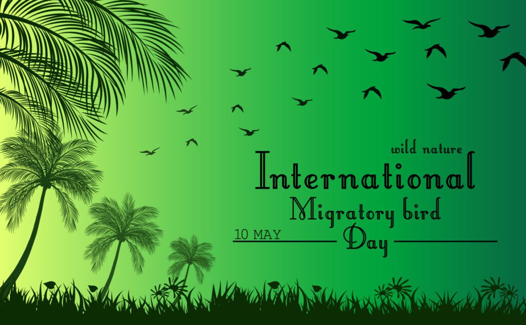 Green background with palm tree and flying birds Free Vector