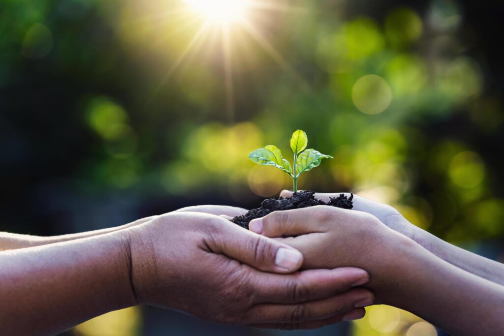 mother and child holding young plant with sunlight on green nature background. concept eco earth day Stock Free