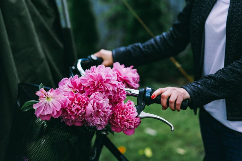 Woman holding a bicycle with beautiful pink flowers in the basket Stock Free