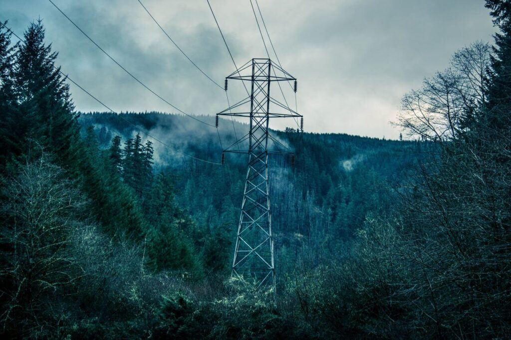 Power Lines Forest Trees Stock Free