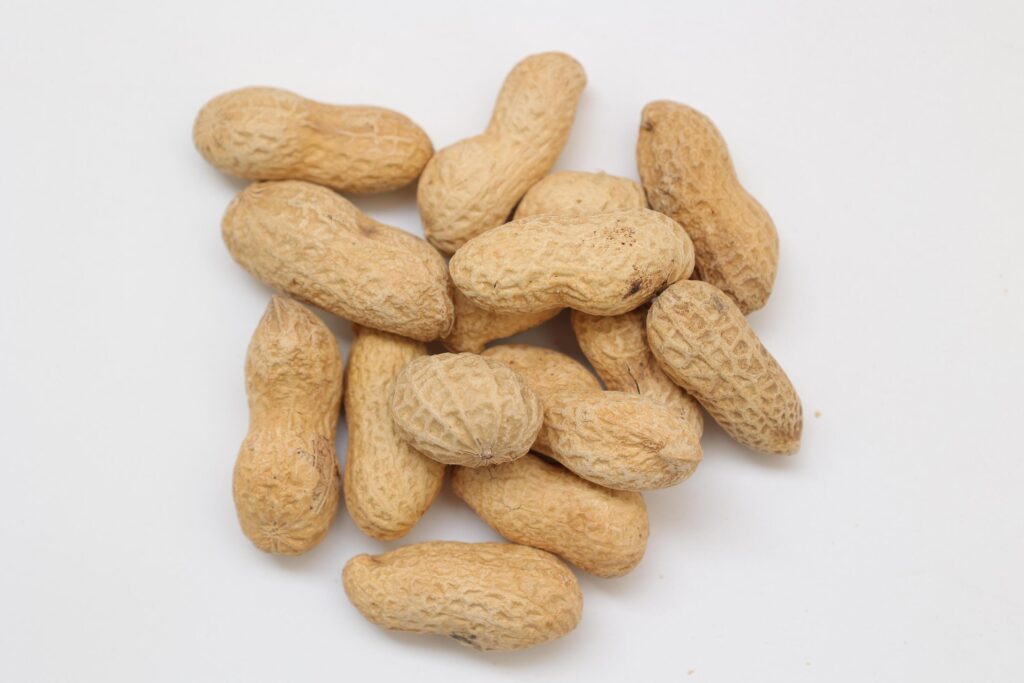 Peanut on white background Stock Free