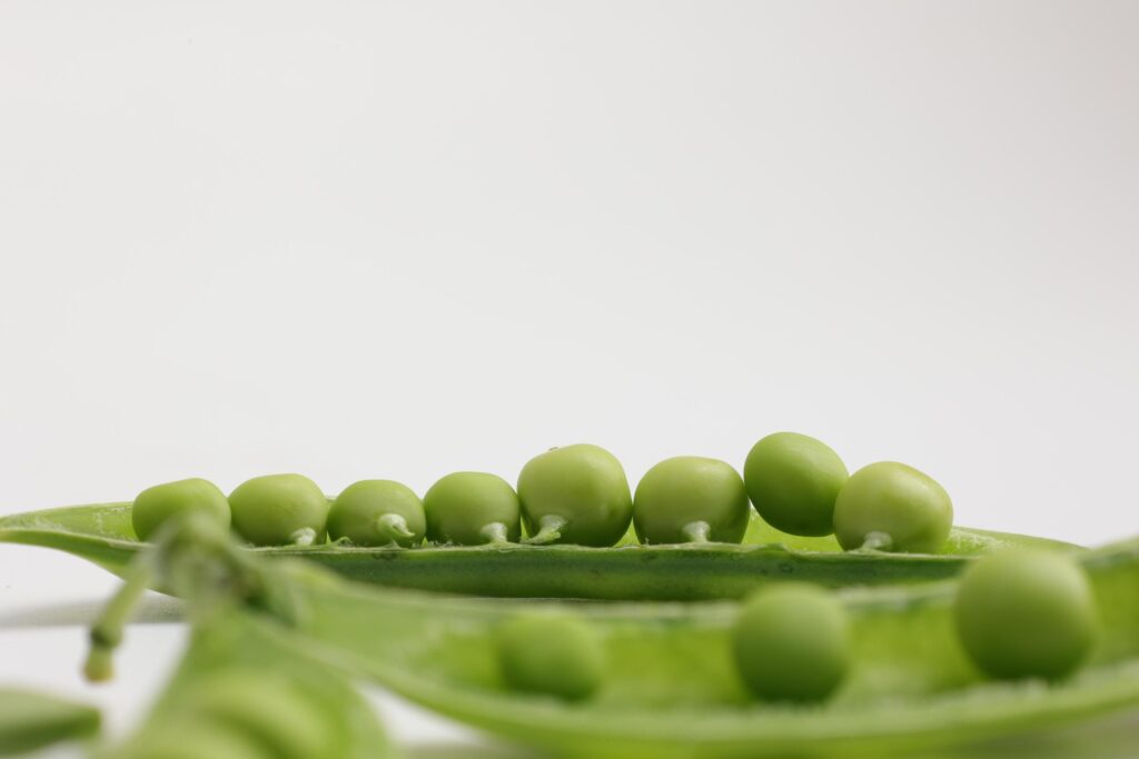 Pea on white background Stock Free