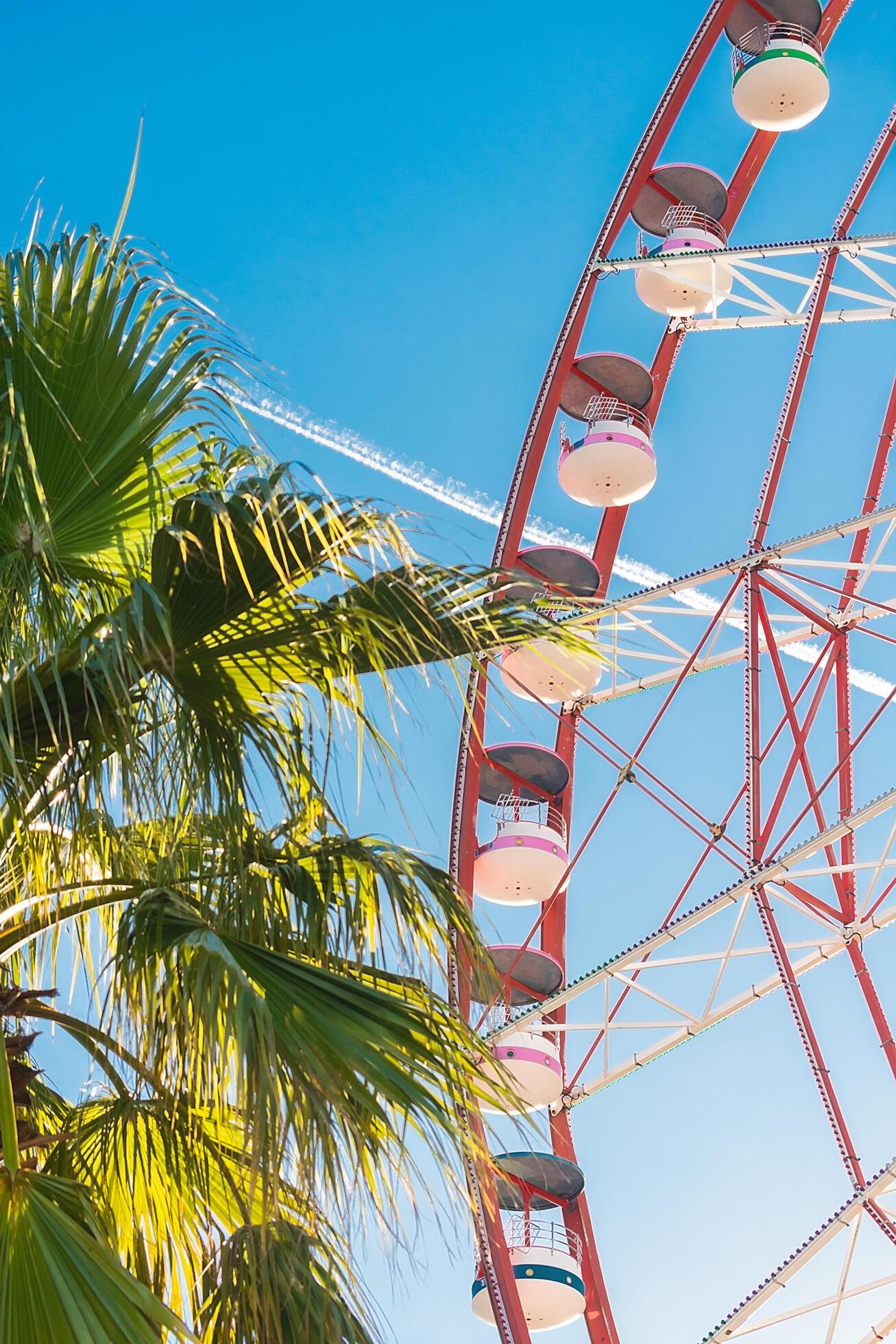 View of the Ferris wheel attraction against a background of blue sky between palm trees. Ferris wheel in the Georgian city of Batumi. Stock Free