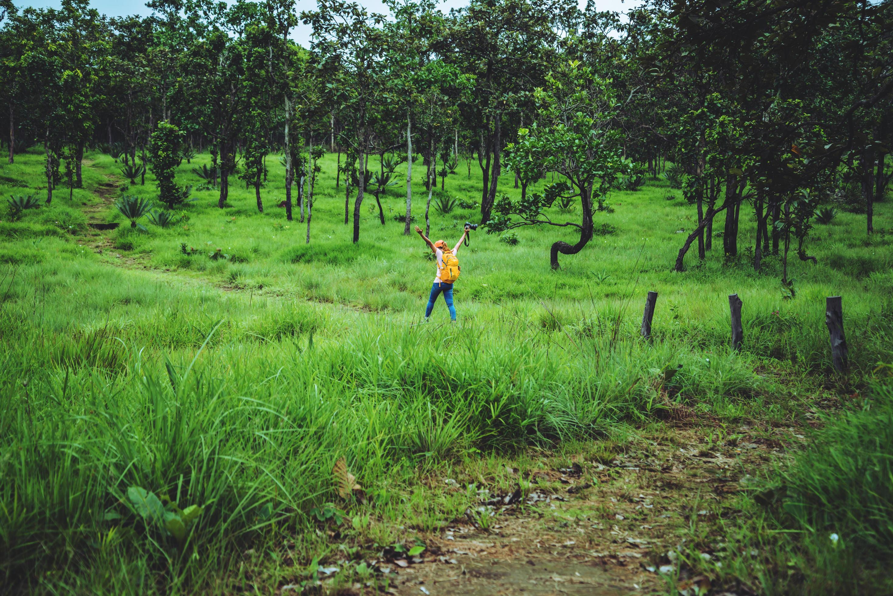 Asian woman travel nature. Travel relax. Photography Cucumber sessilis flower field. Stock Free