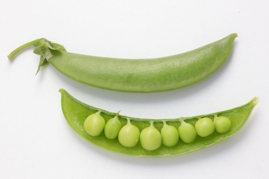 Pea on white background Stock Free