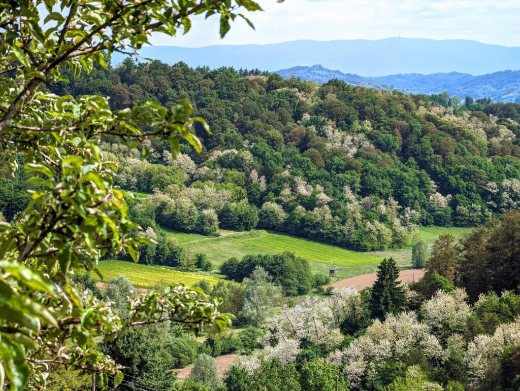 Beautiful landscape scenery, forest and nature background, green hillside at Klenice, Croatia, Hrvatsko Zagorje Stock Free