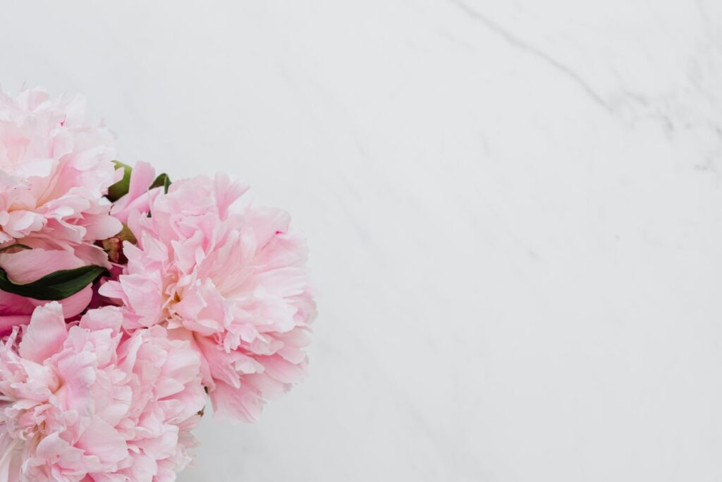 Peonies on white marble background Stock Free