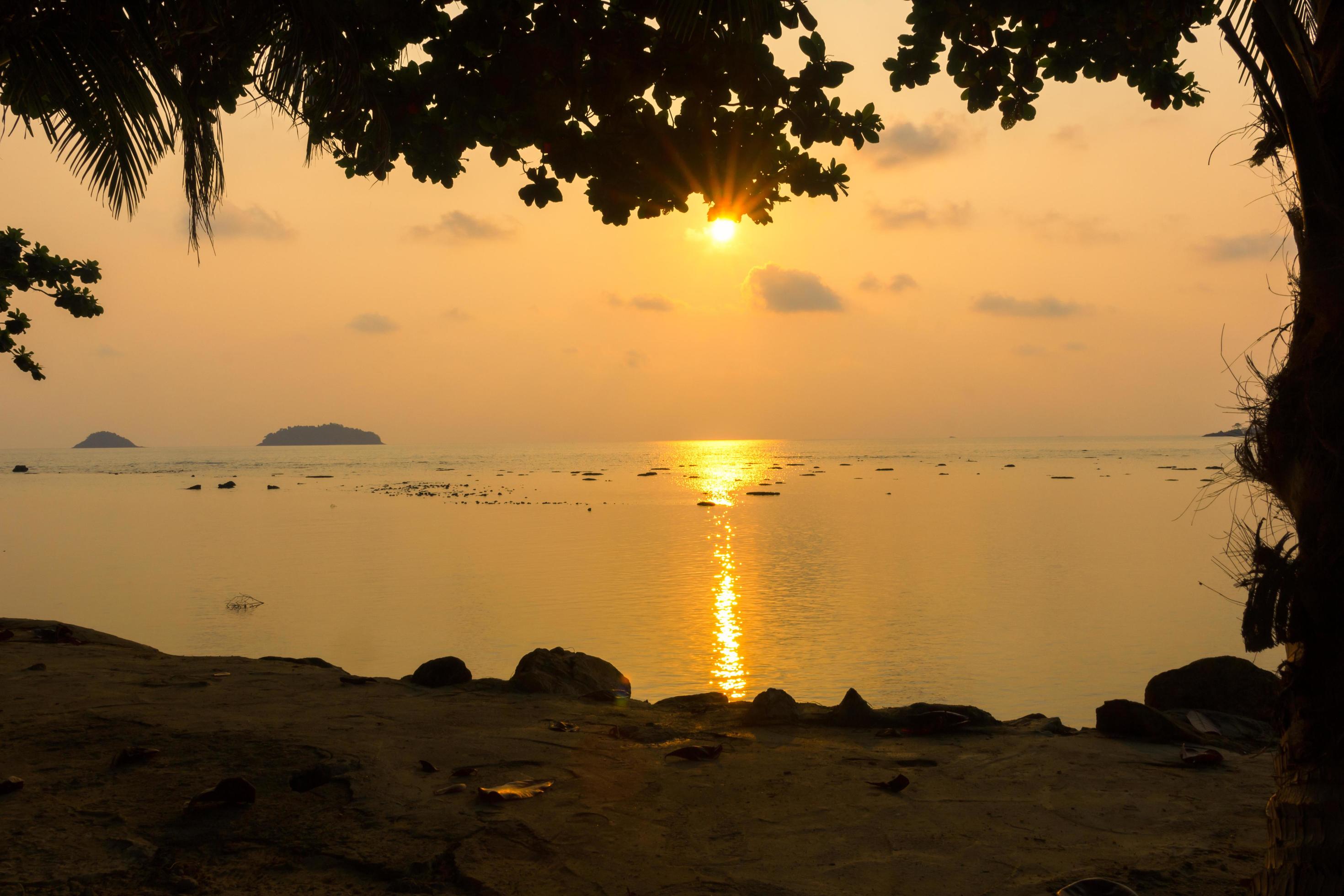 Natural silhouette of a sea view at sunset with trees framed in orange tones, nobody, copy space. Stock Free