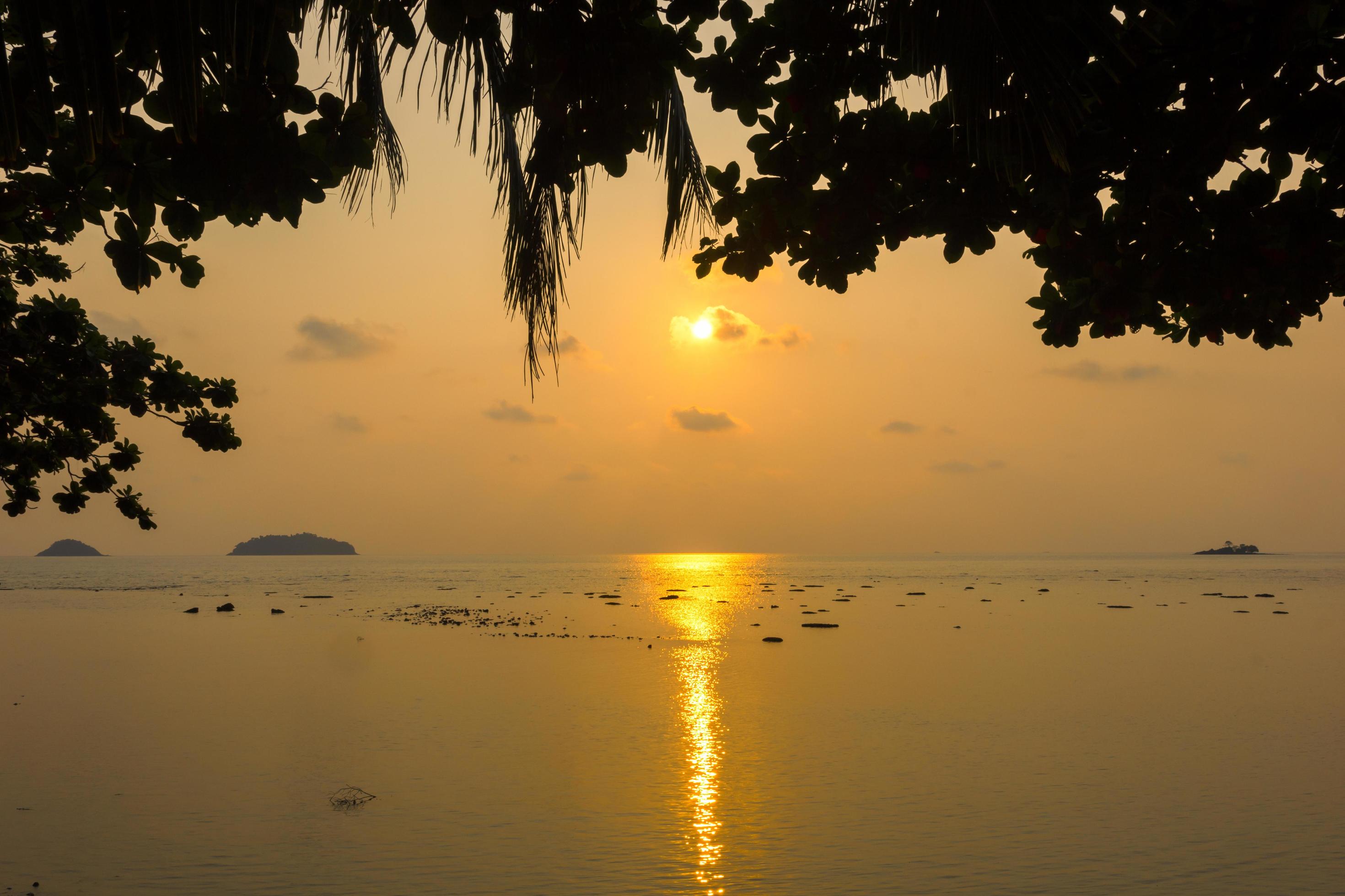 Natural silhouette of a sea view at sunset with trees framed in orange tones, nobody, copy space. Stock Free