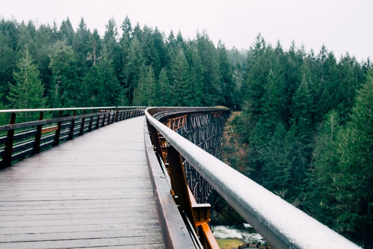 Bridge to the Nature Stock Free