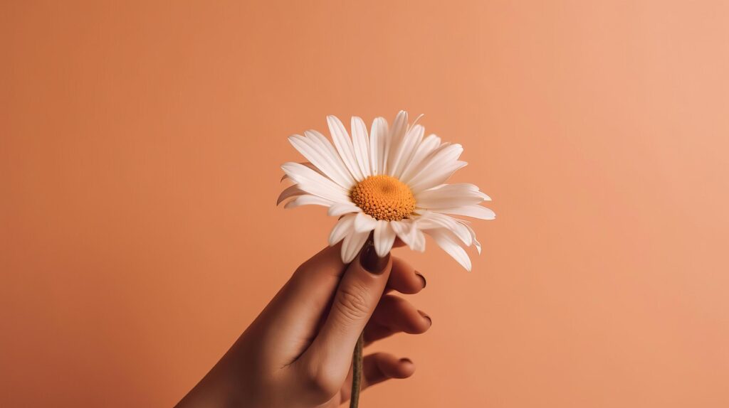 Hand with chamomile flower. Illustration Stock Free