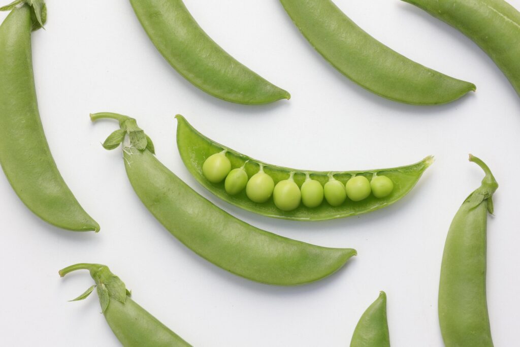 Pea on white background Stock Free