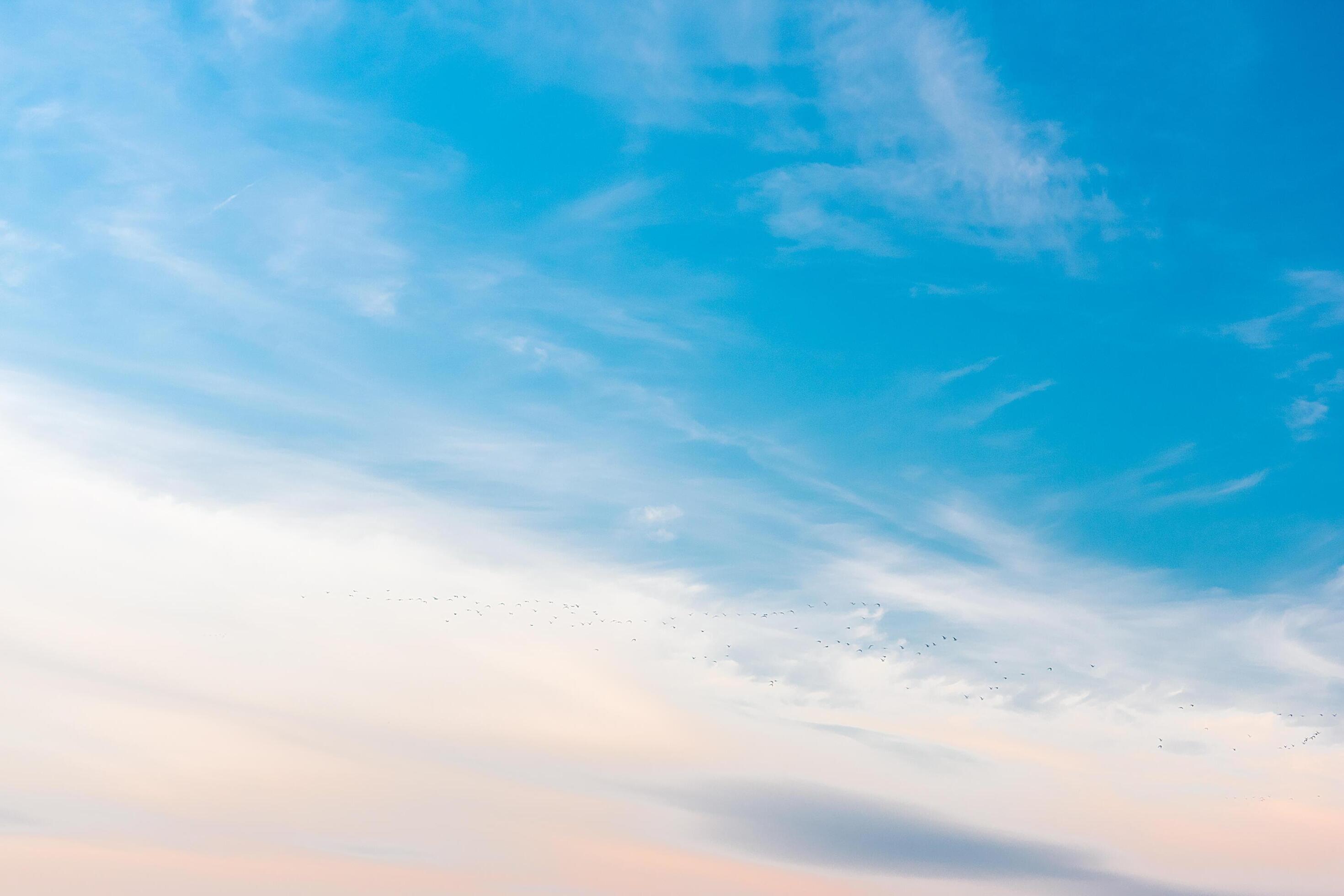 Abstract background. Blue sky with blurry clouds. Stock Free