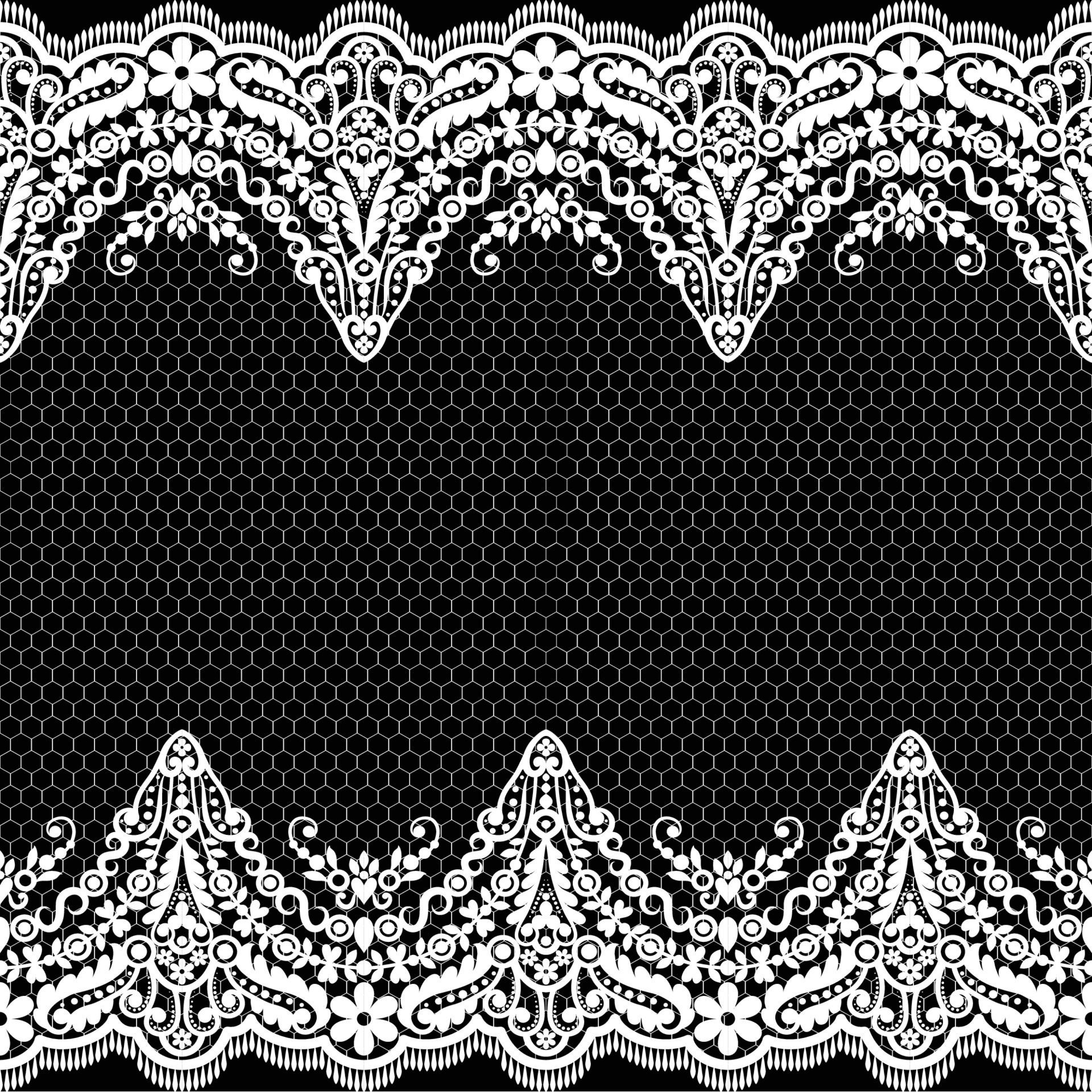 Abstract seamless lace pattern with flowers Free Vector