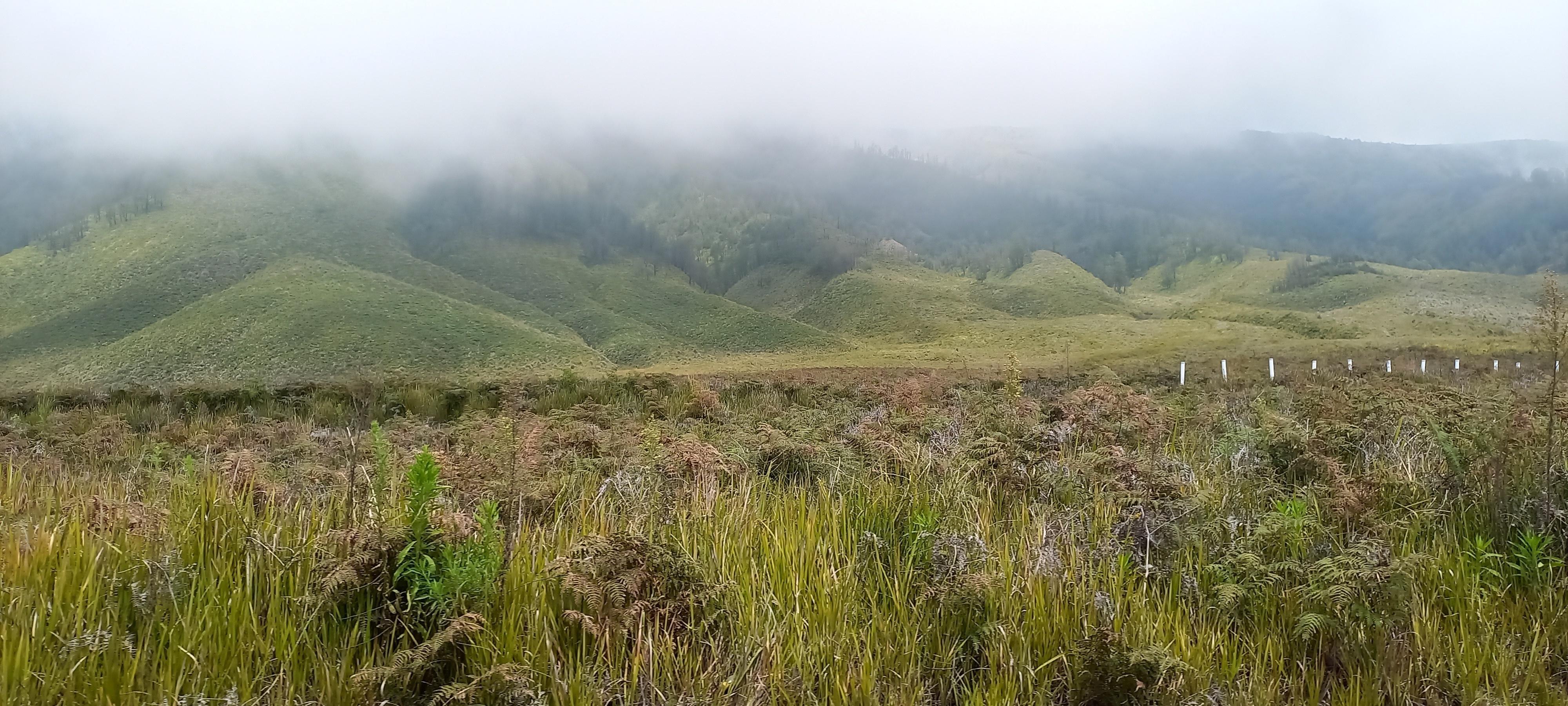 See the natural beauty of Mount Bromo, Indonesia Stock Free