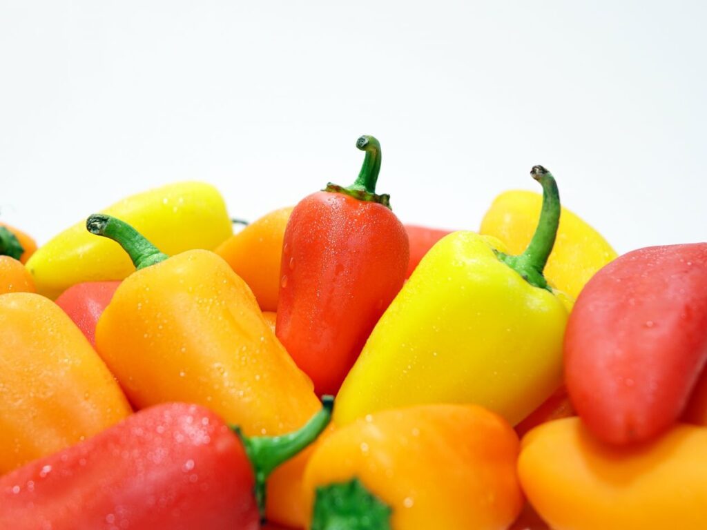 Bell peppers Stock Free