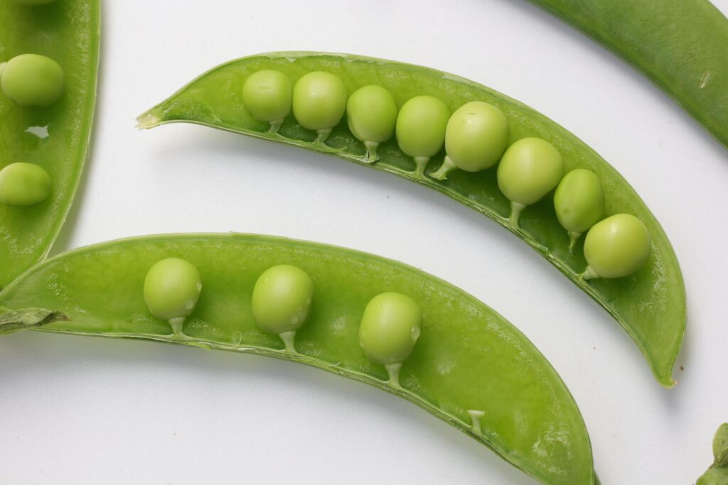 Pea on white background Stock Free