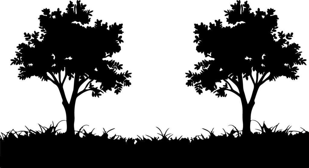 Two black tree silhouettes Free Vector