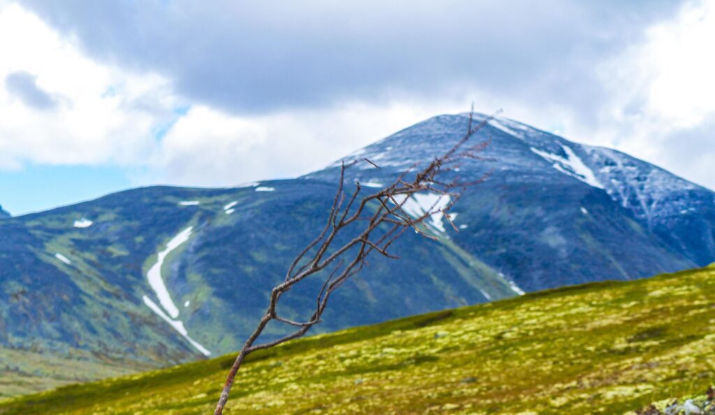 Beautiful mountain and landscape nature panorama Rondane National Park Norway. Stock Free