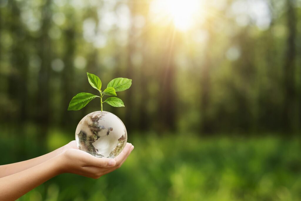 hand holding globe glass and tree growing green nature background. environment eco day concept Stock Free